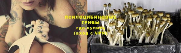 MDMA Алексеевка